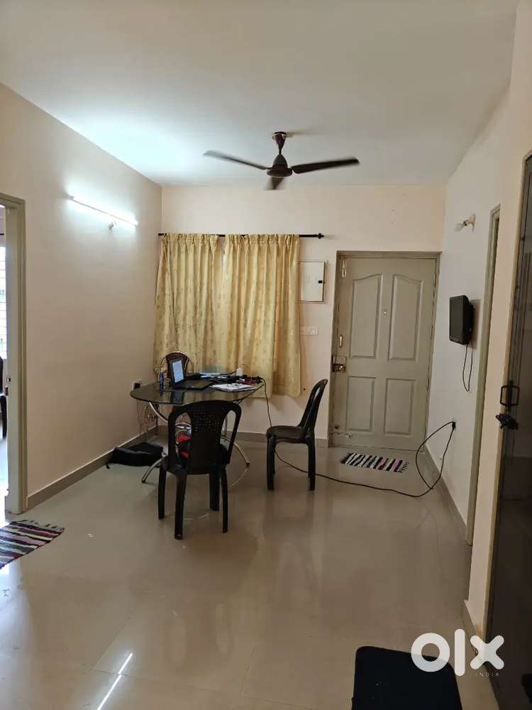 Looking For A Flatmate