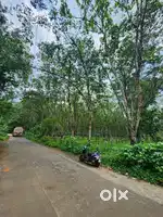 2.5 Acre Land for Sale