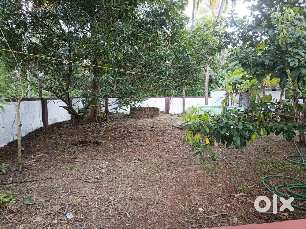 7 Cent Land for Sale near Payyanur Town, Kannur