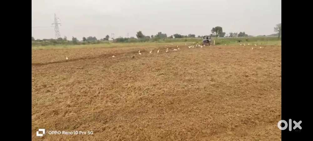 Agriculture Farm land 3025 gaj naugaon on state highway naugaon alwar