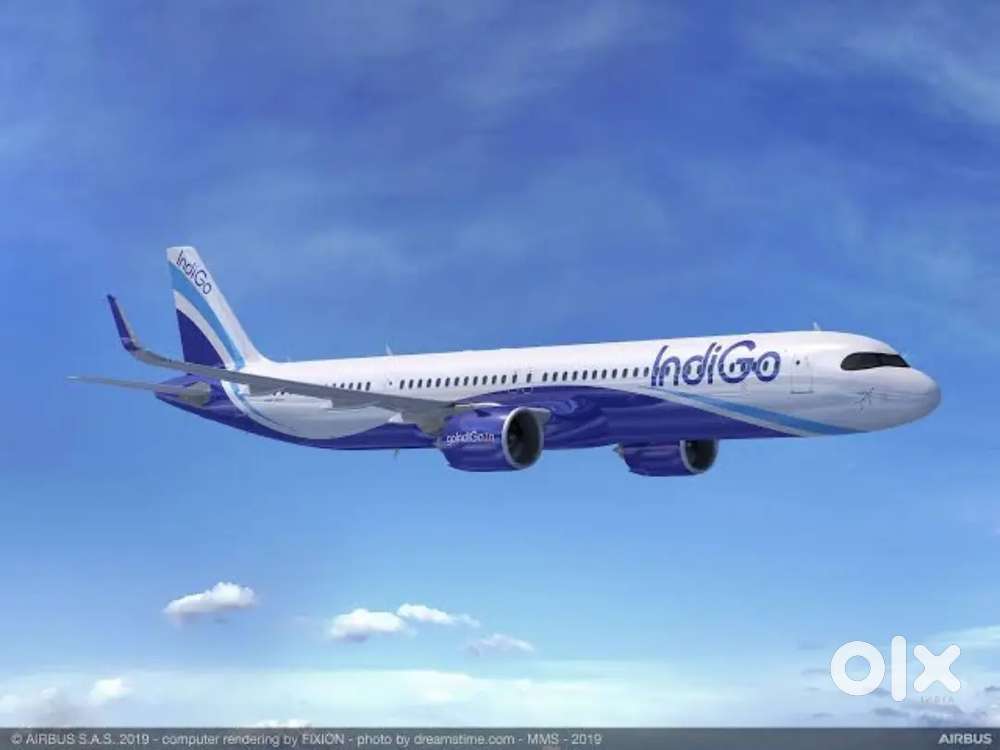 IndiGo Airlines Job- Airport Ground Staff, Cabin Crew, Driver & more.