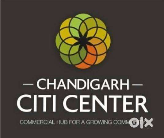 SCF/ Office Fully Furnished in CCC