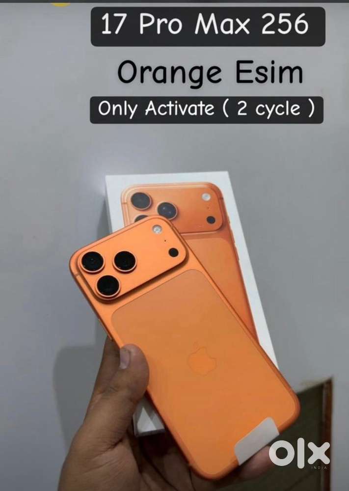 17 pro max