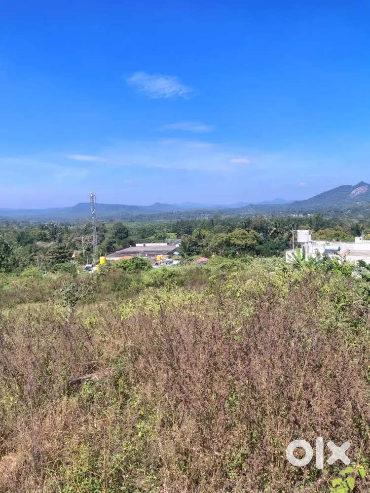 50 cents land for sale -ideal for home /investment