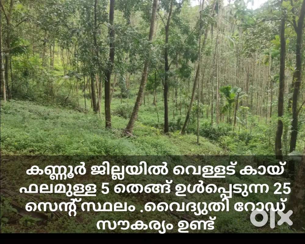 25 cent land for sale with easy road access and electricity