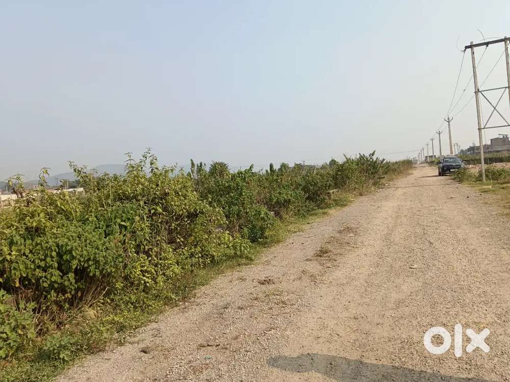 Tamulia Brahmanand ke piche CNT free plot