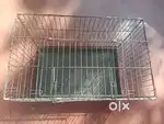 Pets cage for dogs