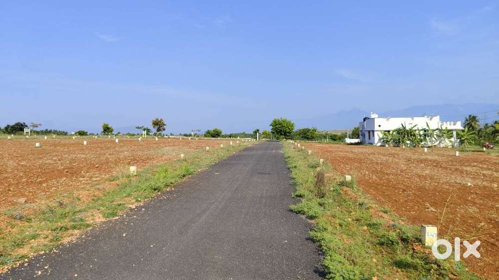 RESIDENTIAL PLOT FOR SALE PER CENT JUST 3.25LAKHS ONLY IN ANNUR