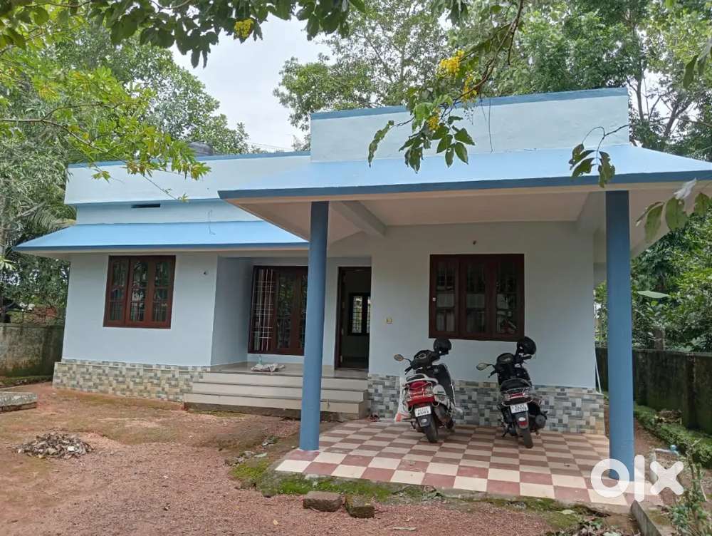 3BHK House for Sale at Pallikkara 10 Cent Land,Prime Location ₹60 Lakh