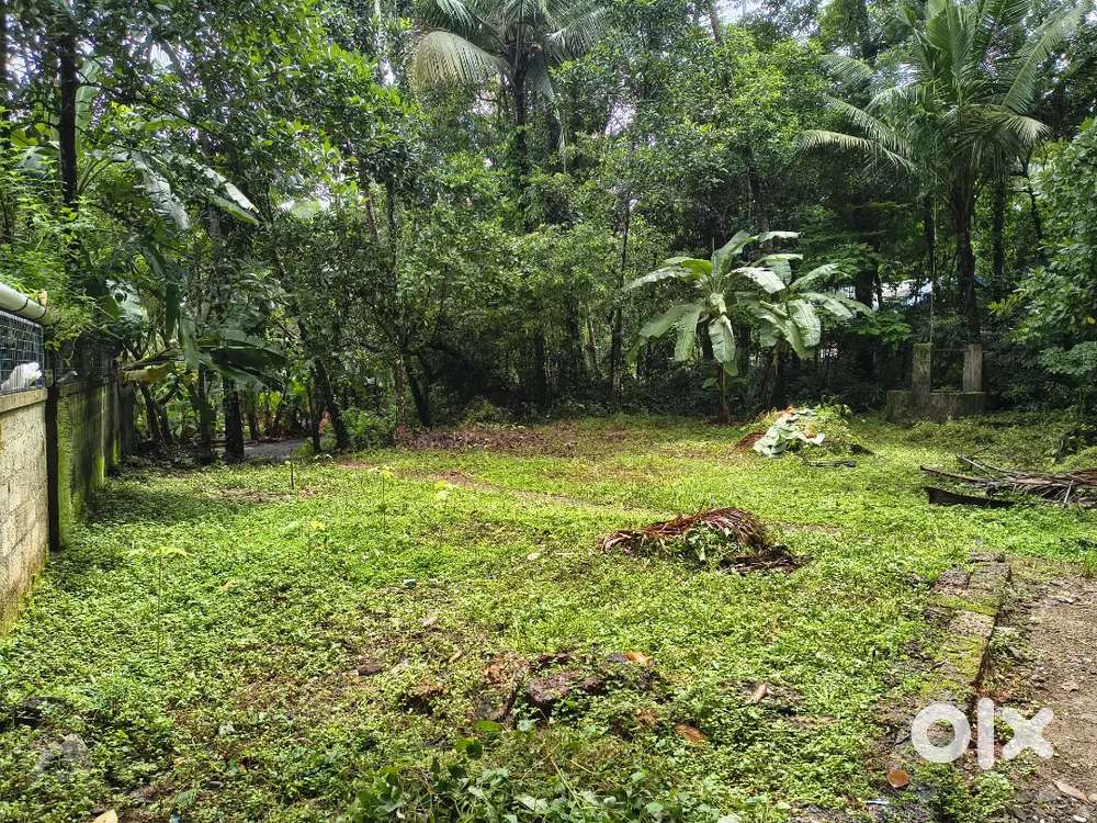 8 cent land , puthiyangadi ( palakkada )