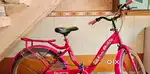 Bicycle- avon company