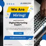 Digital Marketing  Expert