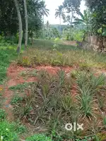 30 cents land for sale