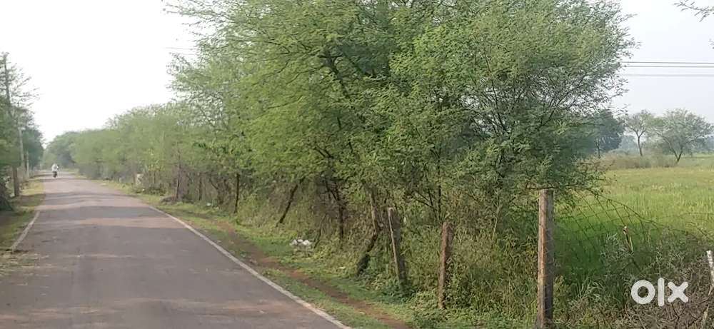 रेट=270/ मेन डामर रोड से लगा प्लॉट गोदाम,फॉर्म हाउस,के लिए उत्तम जमीन