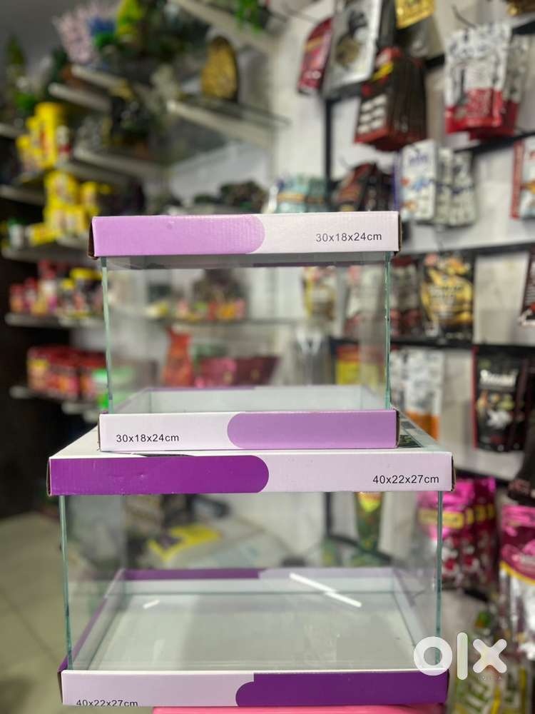 Helper needed fir an aquarium shop