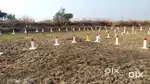 INTERNATIONAL AIRPORT. TRAIL OPENING 30 SAPTEMBAR BOOK YUER PLOT