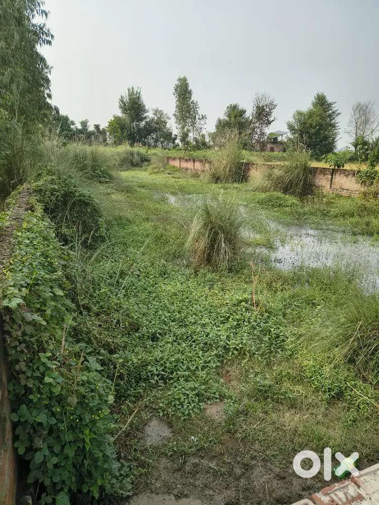 3.5 kattha Plot nawanagar sikandarpur-belthara road