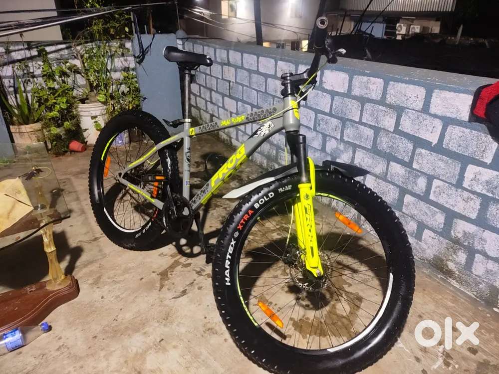 Frog cycle 26 inch dual disk break