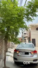 Maruti Suzuki Ciaz 2016