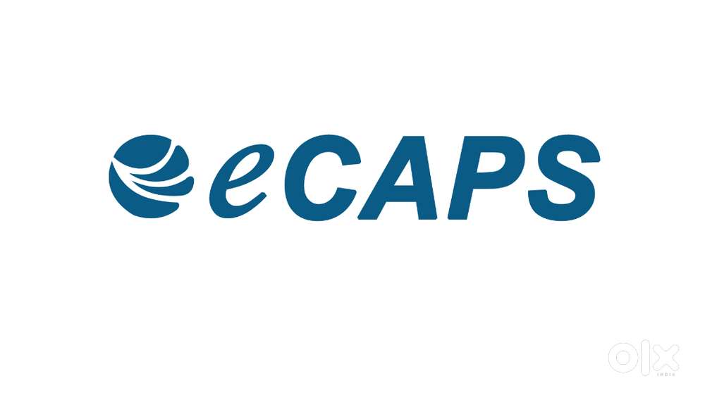 DELIVERY EXECUTIVE