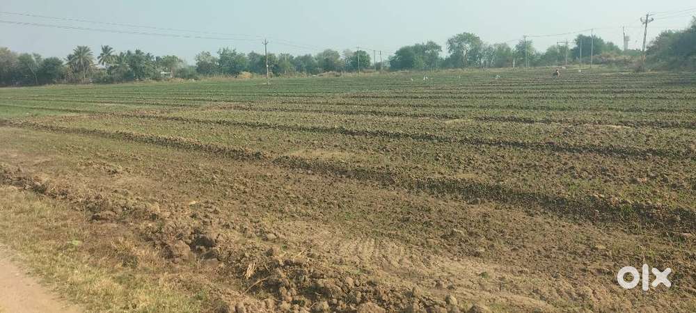 Agriculture land on Naliya kothara road kutch