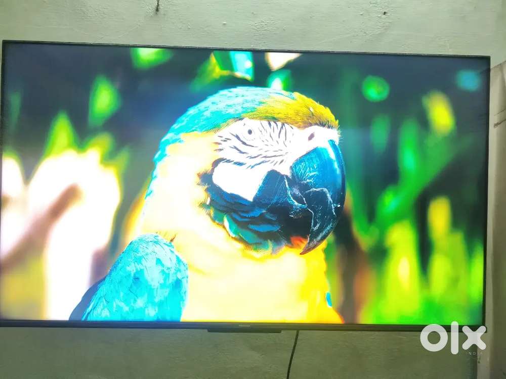 Hisense 55 4k TV