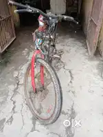 Only frame is ok