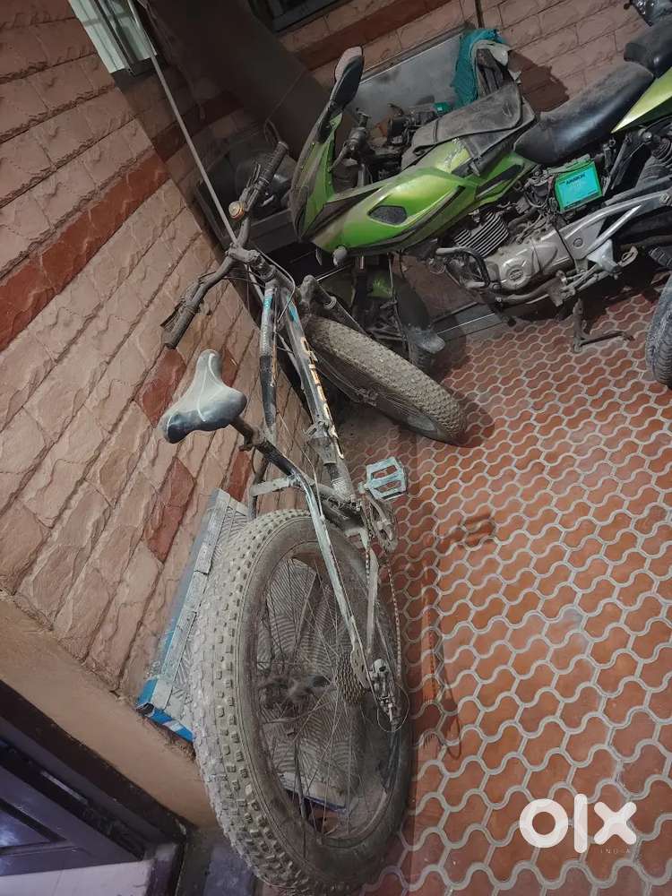 Cycle for sale