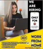 Working hours 2-4 hours