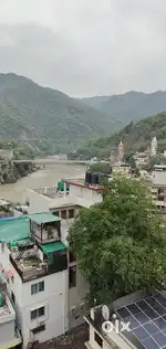 Indian cook