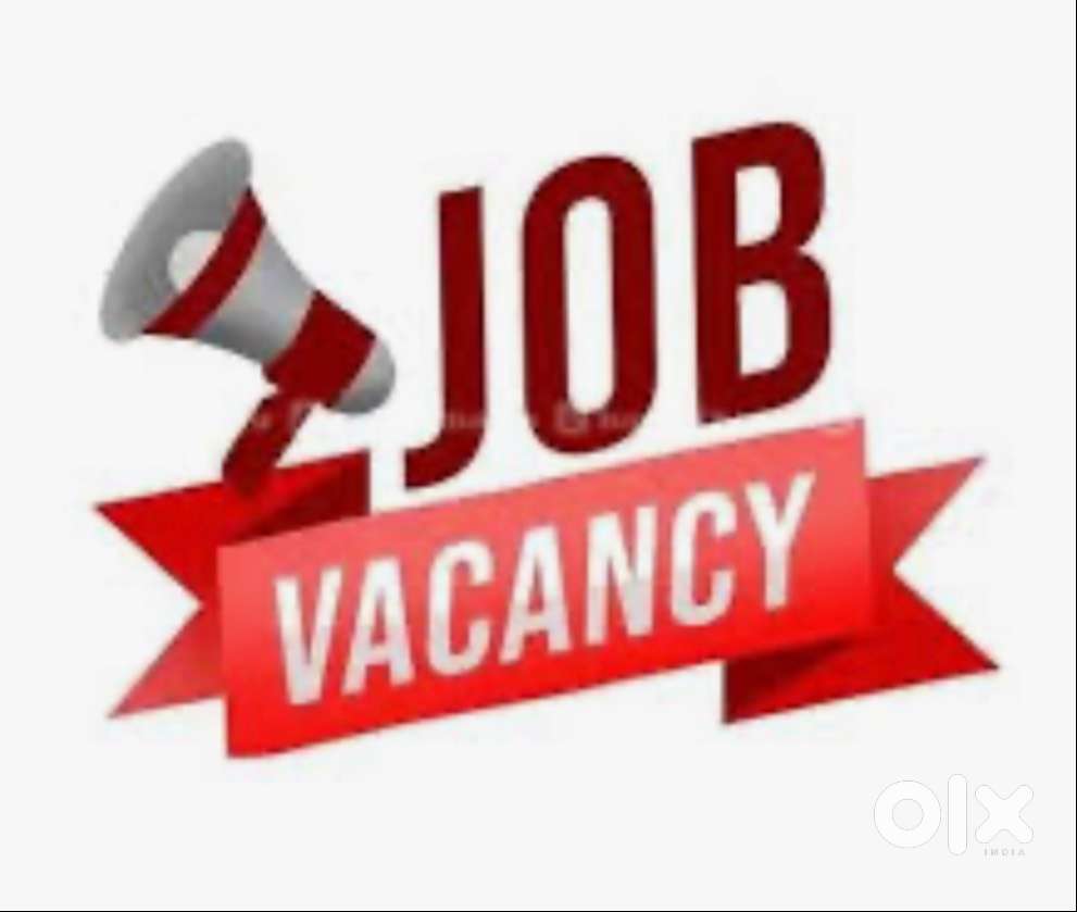 Urgent requirement for female hostess