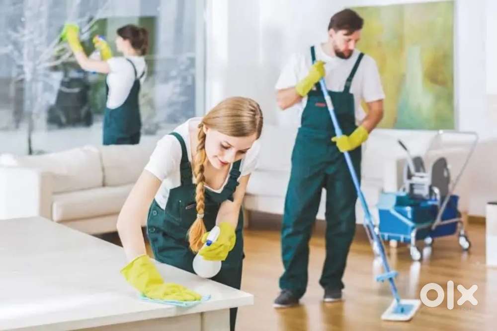 Home cleaning