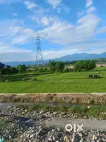 1015 gaj plot sale 50 lacs only 20 ft road