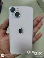 new lena hai