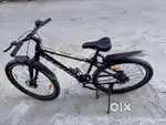 Mountain bicycle