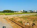 Housing plots -sqrd 9999/- Bhogapuram