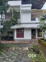 Appartment for rent in thrikkakara