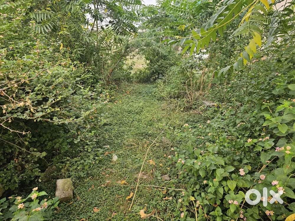 Plot for sale
