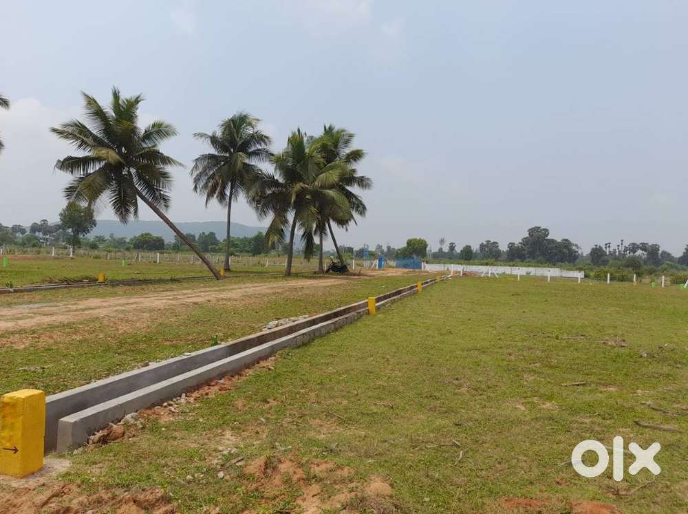 DTCP Approved House Sites : IRUVADA : Atchutapuram