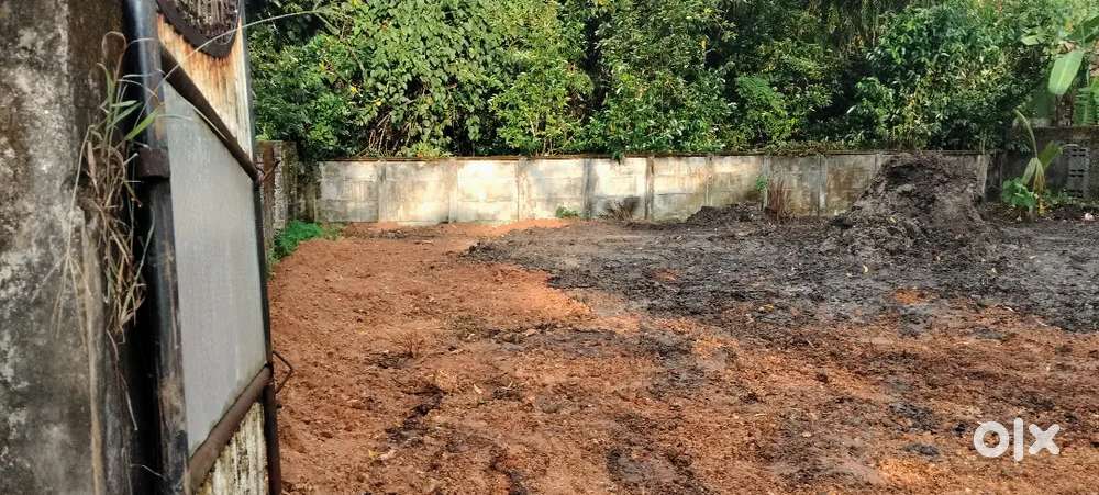 7cent ചേർത്തല മനോരമ ജംഗ്ഷന് സമീപം 4.25 ഒരു സെന്റിന് ചോദ്യം