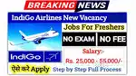 Urgent requirements for ground staff job in freshers candidate