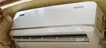 One year old ac for sake