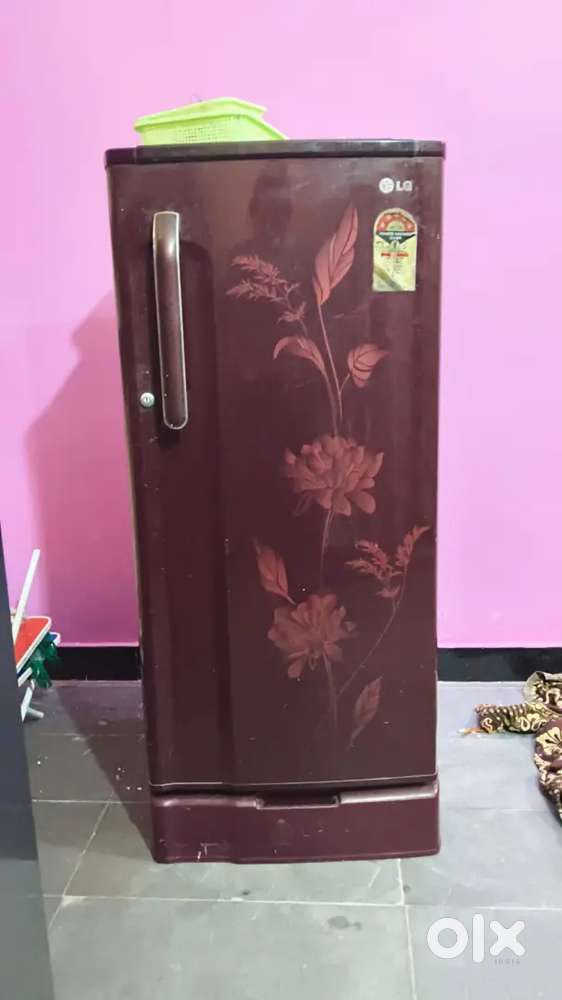 LG fridge single door