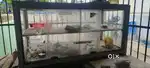Food counter
