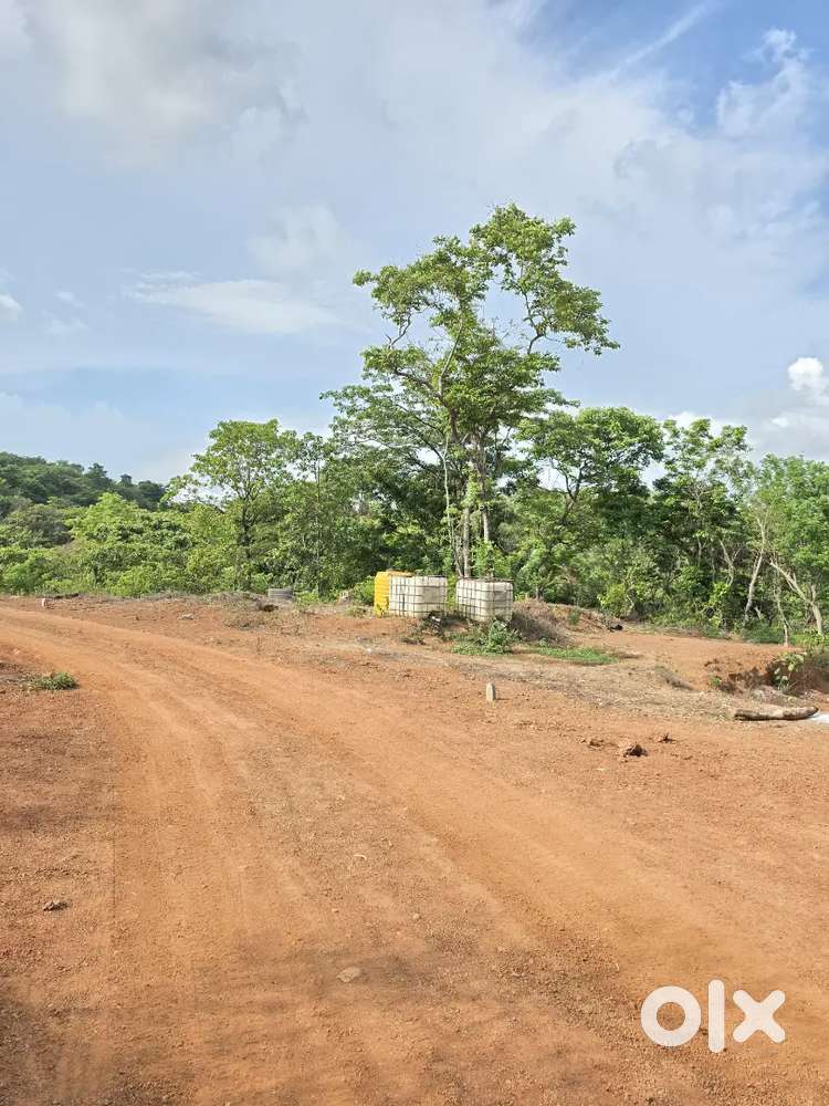 225 sqmt Orchard Plot For Sale Near Crompton Greaves