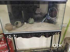 3 feet aquarium