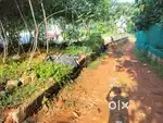 Pampady.town.area.6.cent.houseplot.centinu.190000