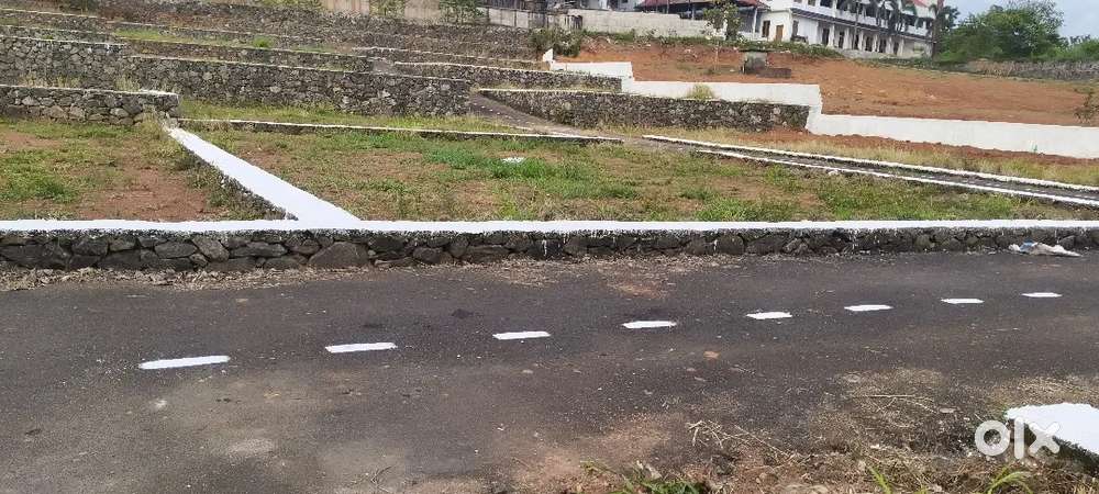 4,5,6,7, 10 cent house plot near pukkattupady busroot 100mtr