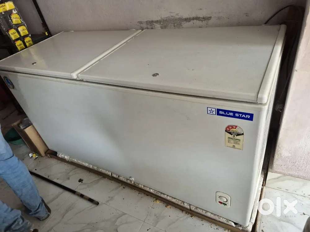 Blue star D Freezer