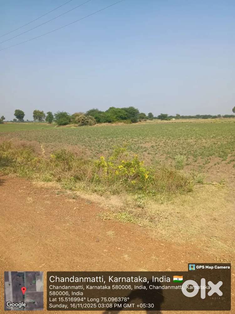 Farm land for sale